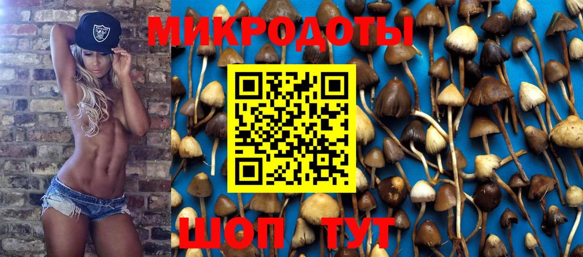Новосибирск  Псилоцибиновые грибы прущие грибы  дарнет шоп  Вход с VPN 